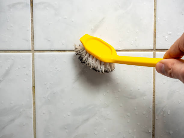 Best Mold Damage Repair  in Westmorland, CA