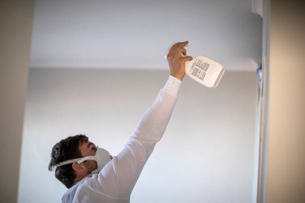 Best Professional Mold Removal  in Westmorland, CA